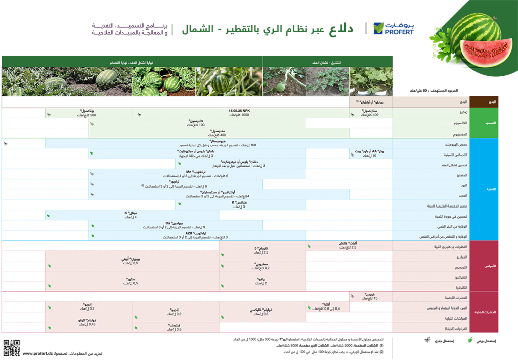 Crop Plan Pasteque Nord Ar