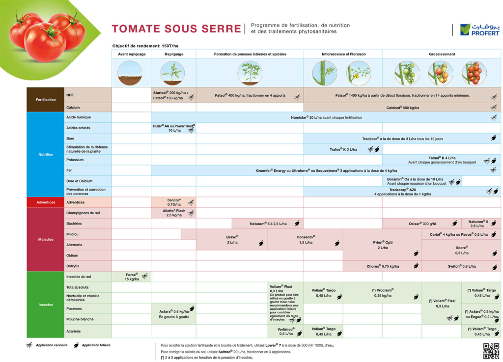 Profert-Crop plan Tomate sous serre 2018-1