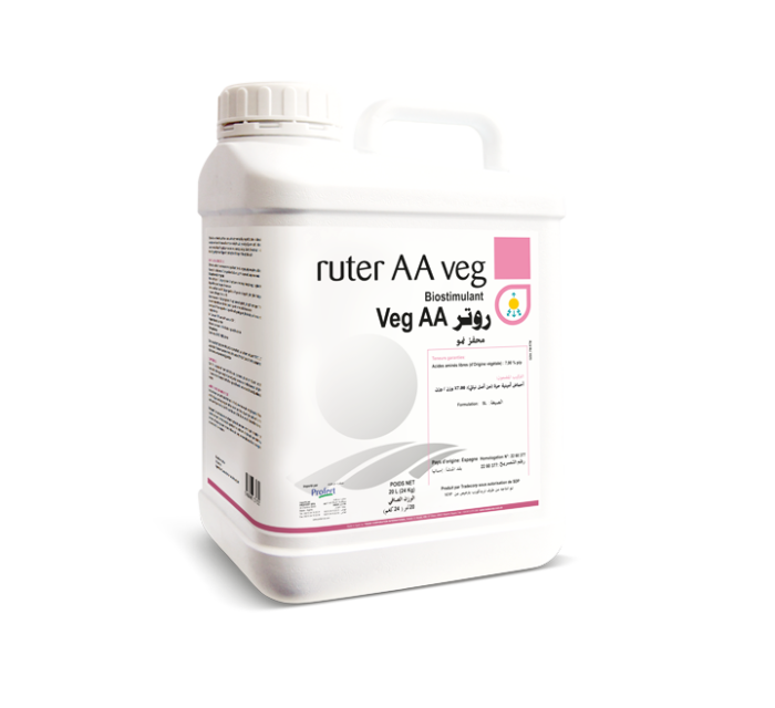 Ruter AA veg <sup>®</sup>